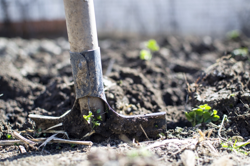 jardinerie-MOISSAC BELLEVUE-min_equipment-2047314